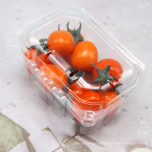 Vacuum Formed 250gram cherry tomato fruit punnet container